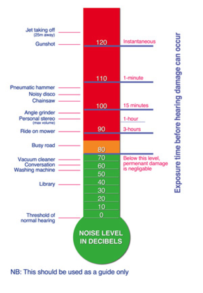 Paediatric Audiovestibular Medicine Service (Hearing) - Manchester ...